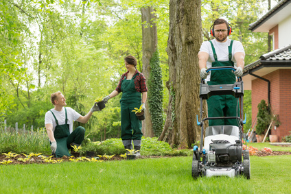 Hanseatic Gebäudedienste Gartenpflege